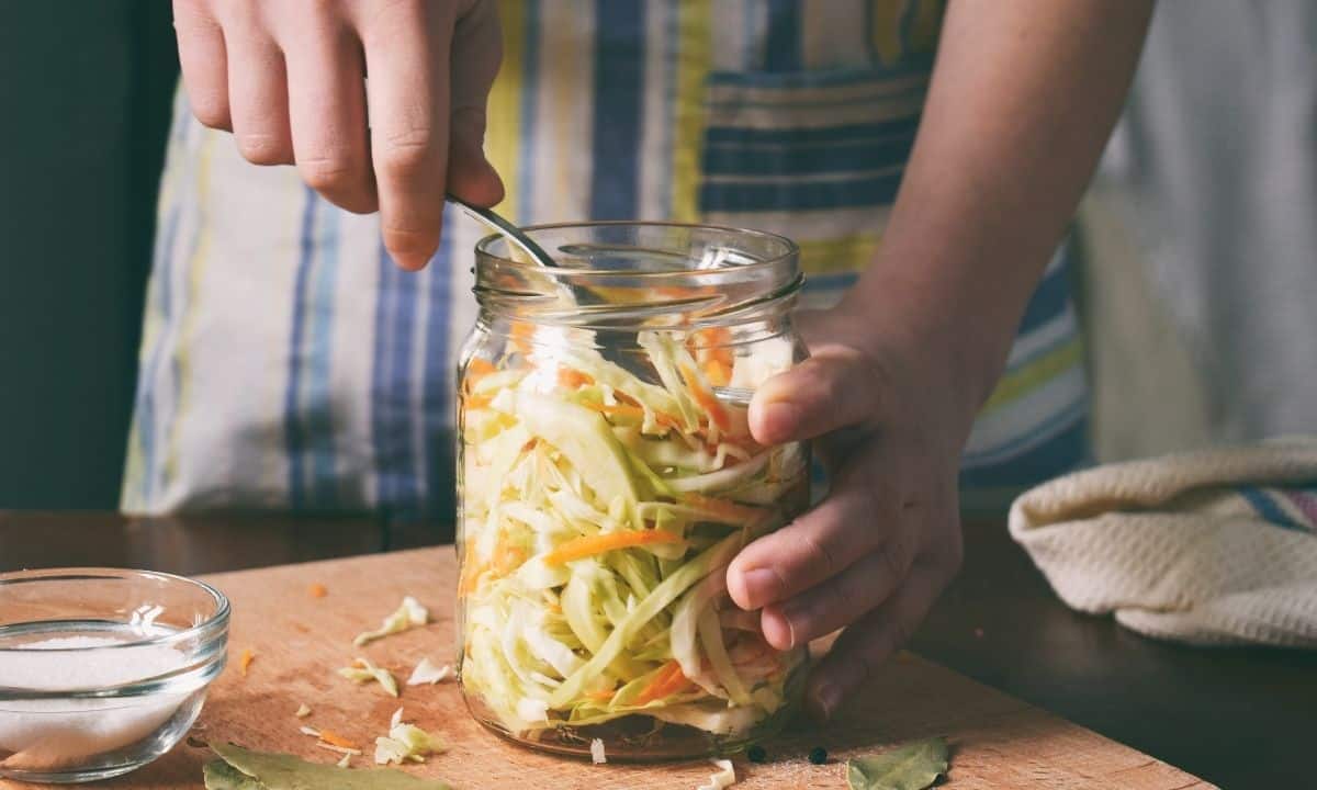Do Light And Heat Help Fermentation? Full Guide Pickle & Ferment