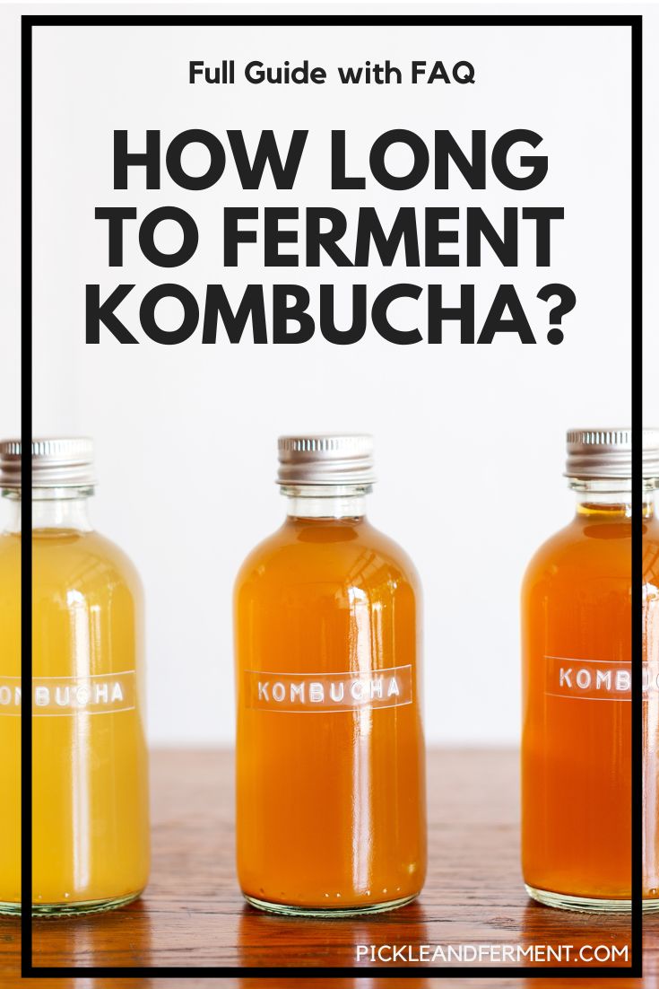 How Long to Ferment Kombucha? Full Guide with FAQ Pickle & Ferment