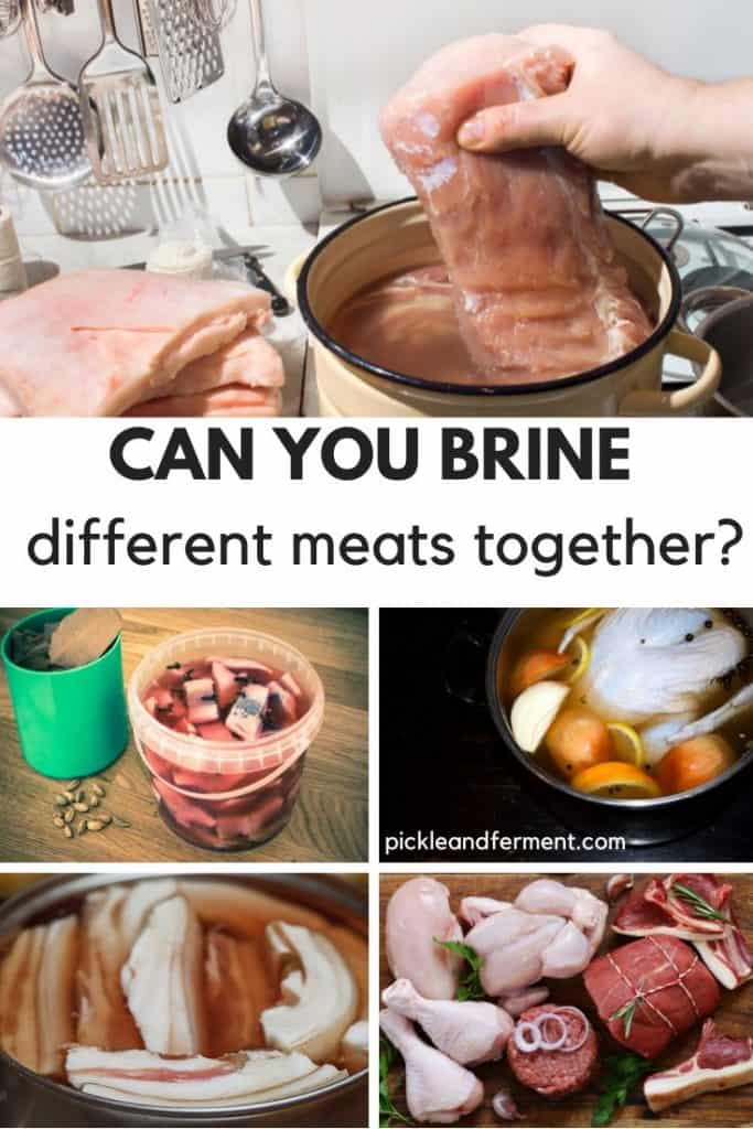 Several pictures of meat brining, and a banner that reads can you brine different meats together?