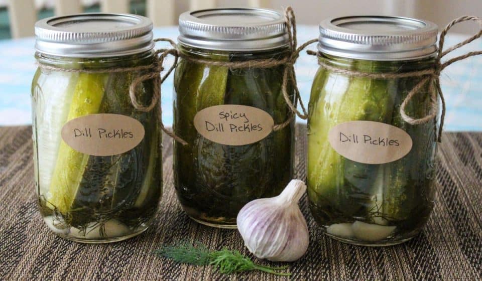 9 Different Types of Fermented Foods & Why You Need Them Pickle & Ferment