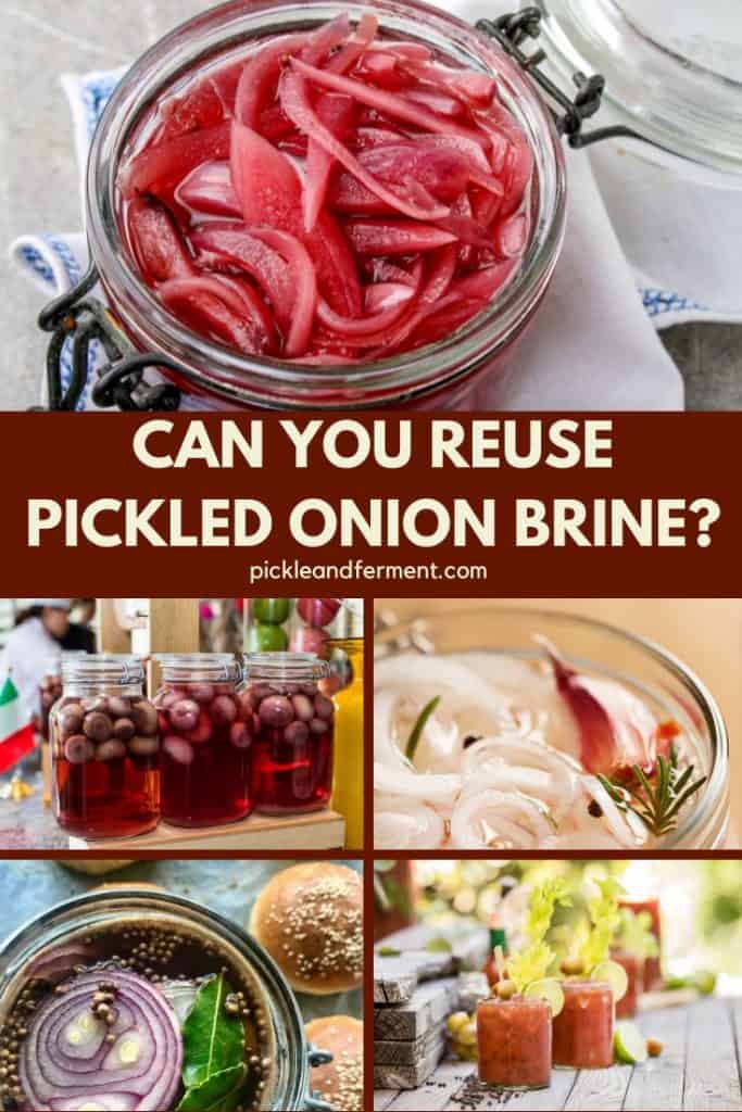 Several pictures of pickled onions and one of a bloody mary cocktail, with a middle banner that reads can you reuse pickled onion brine?