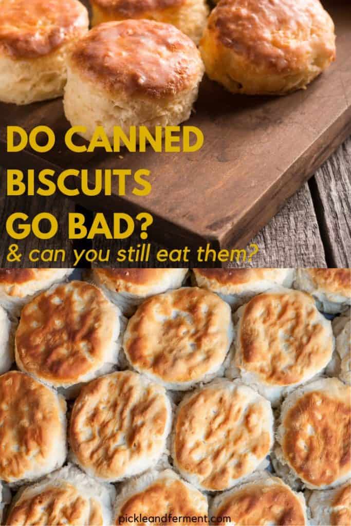 2 photos of biscuits with text overlay that reads do canned biscuits go bad? & can you still eat them?