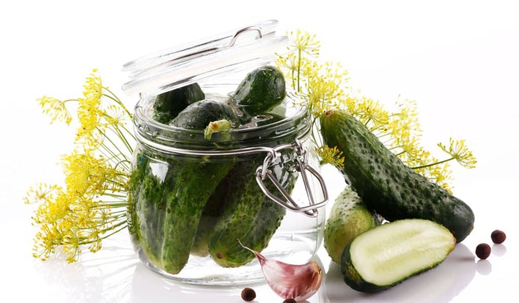 Can You Pickle Without Vinegar? 3 Myths Debunked Pickle & Ferment